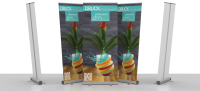 Rollup-display-economy-.png