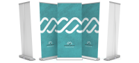 Rollup-display-style.png